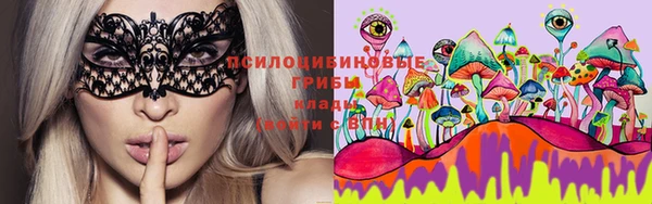 каннабис Белокуриха