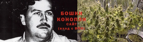 каннабис Белокуриха