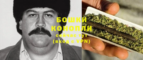 каннабис Белокуриха