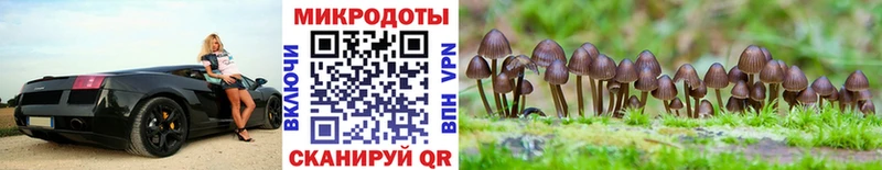 дарнет шоп  Вуктыл  Галлюциногенные грибы Cubensis 